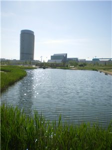 II Acuatlón de Iniciación - Campeonato de Aragón de acuatlón