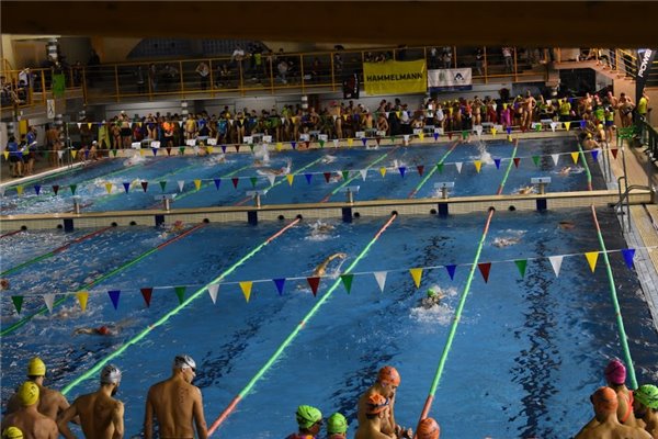 320 triatletas y nadadores celebran el fin de año en el 100x100 St. Casablanca