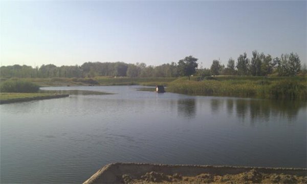 Horarios definitivos del SERTRI